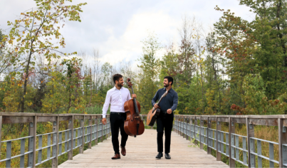 In the Footsteps of Flamenco