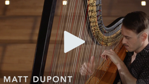 Les voix de la harpe