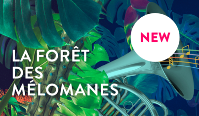 The music lovers' forest