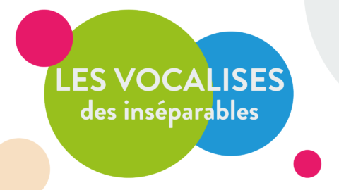 Les vocalises des inséparables